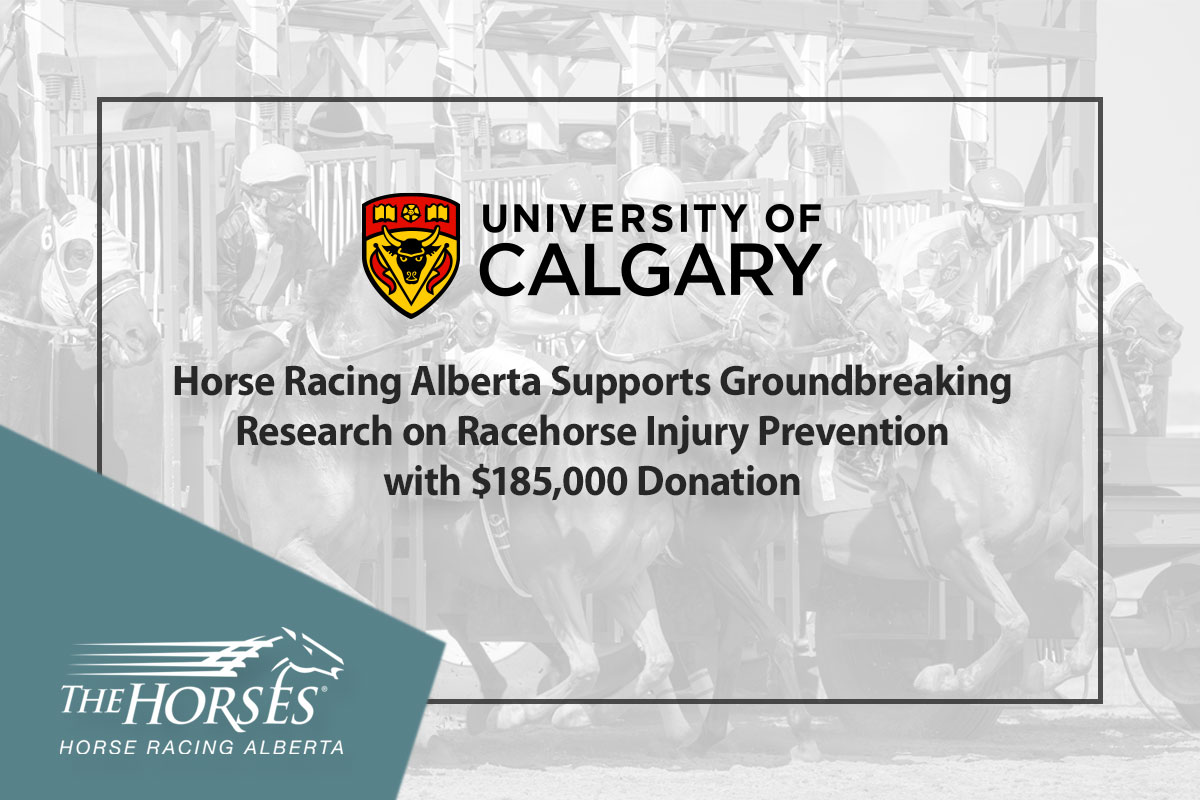 U of C Racehorse Injury Prevention Research Grant